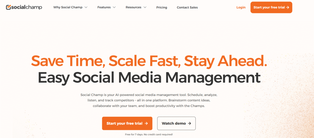 social champ black friday